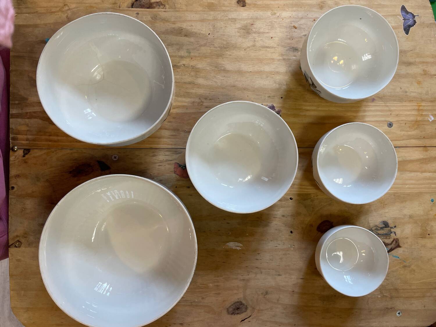 Set of Limoges porcelain bowls