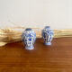 Salt and pepper shaker