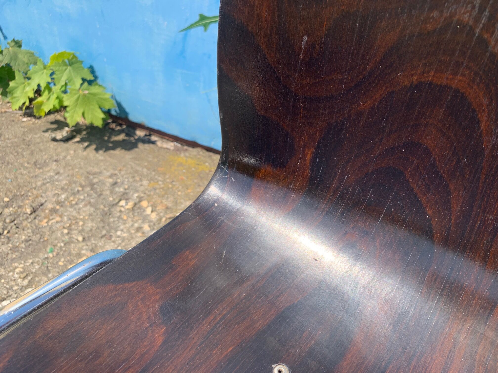 Set of 2 Galvanitas S26 Pagholz chairs, 1960s