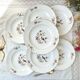 7 assiettes creuses en porcelaine française céranord modèle "regence" motif oiseau de paradis