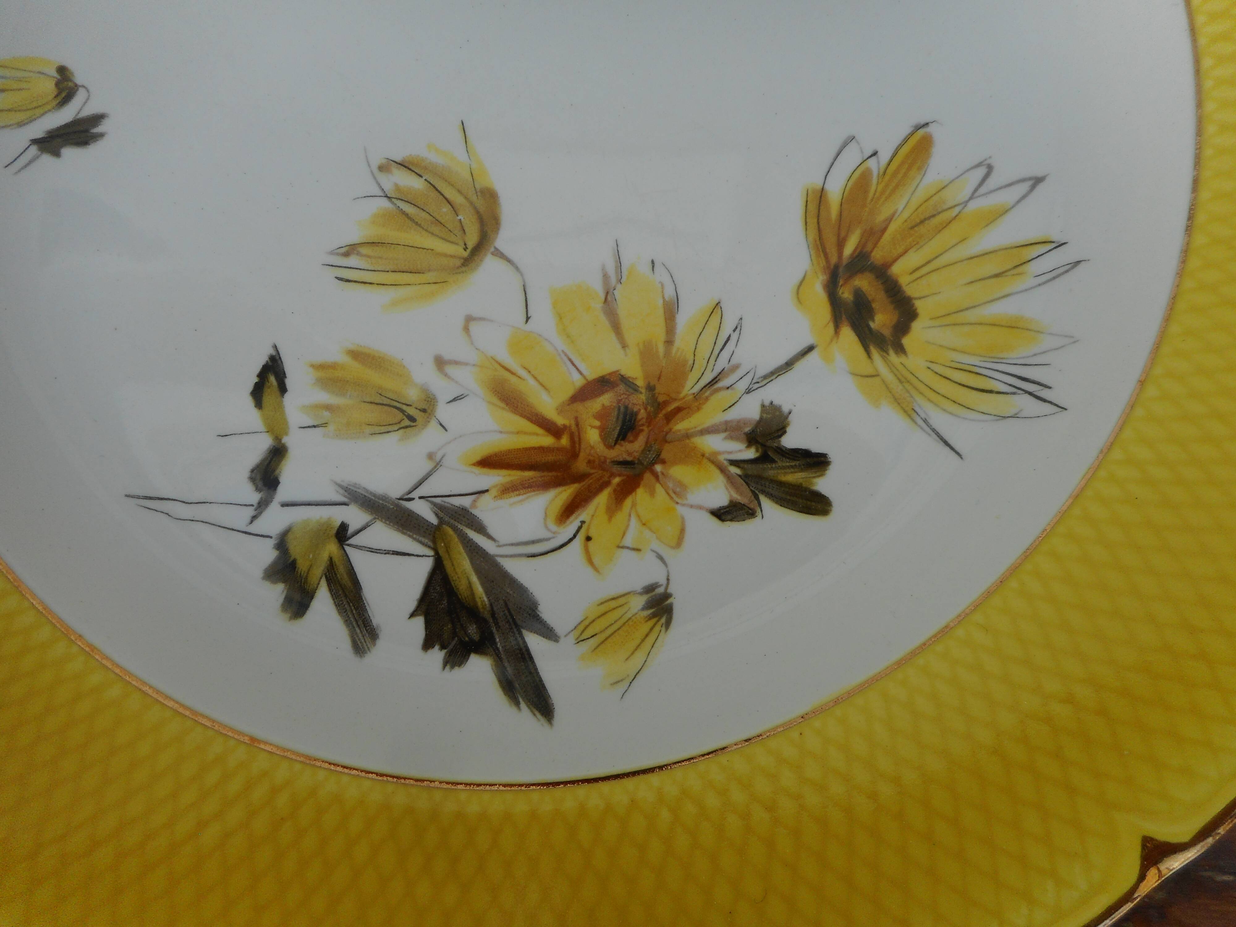 Six flat plates made of "Salins" earthenware