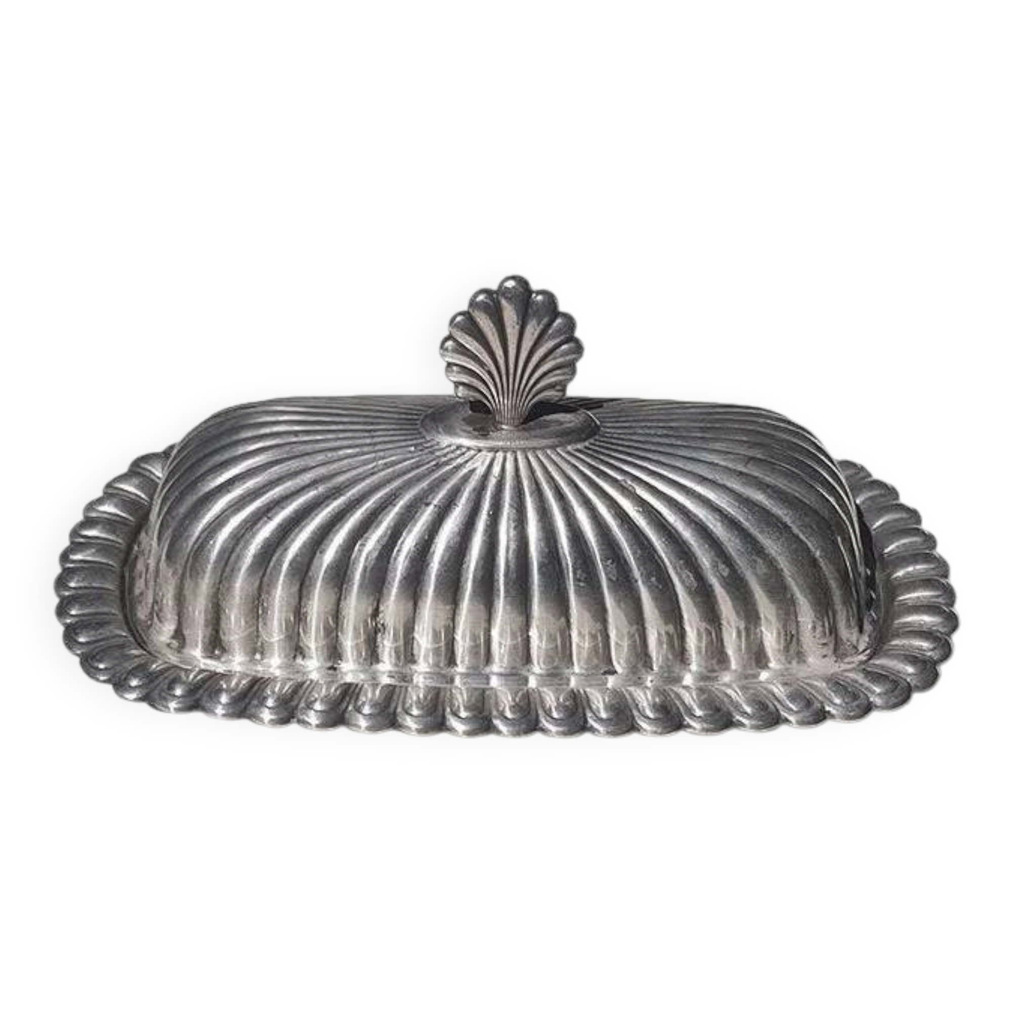 Beurrier coquillage