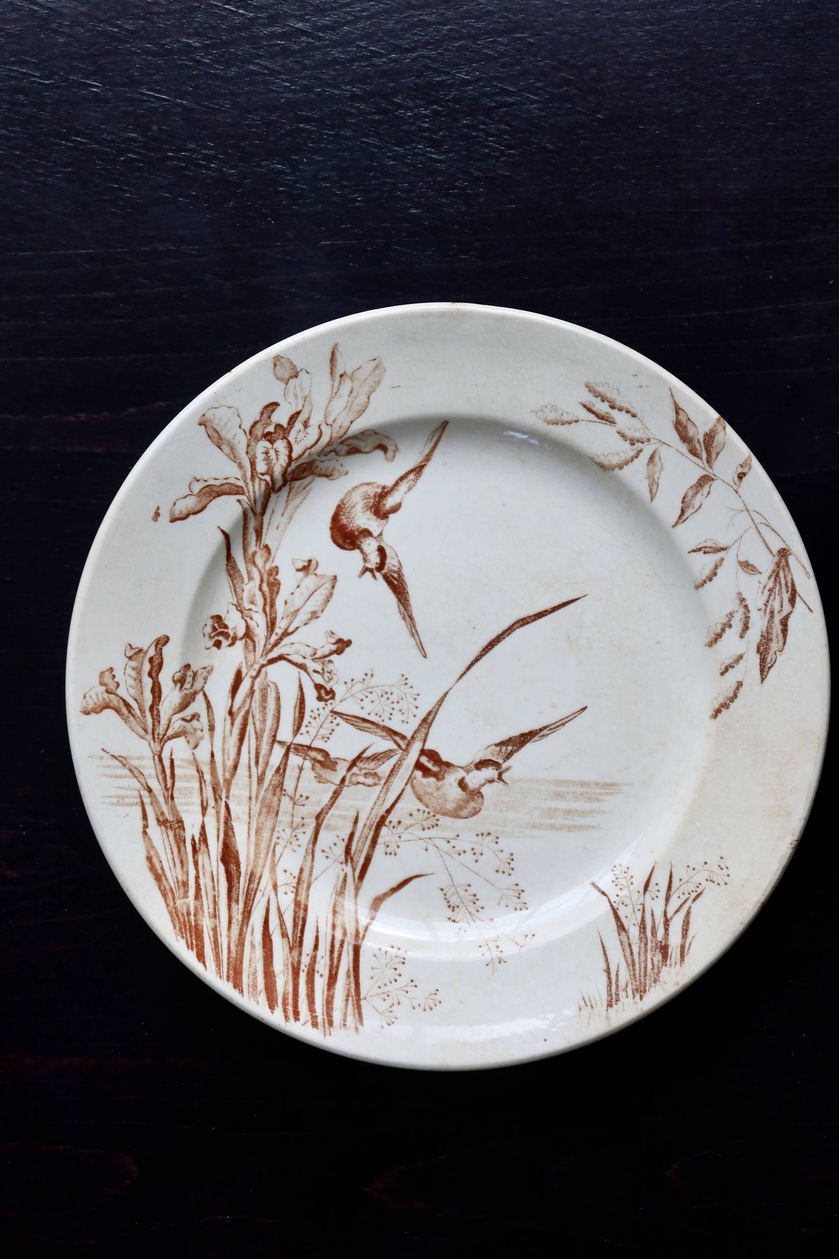 Assiette plate ancienne terre de fer Samaritaine décor Nénuphar