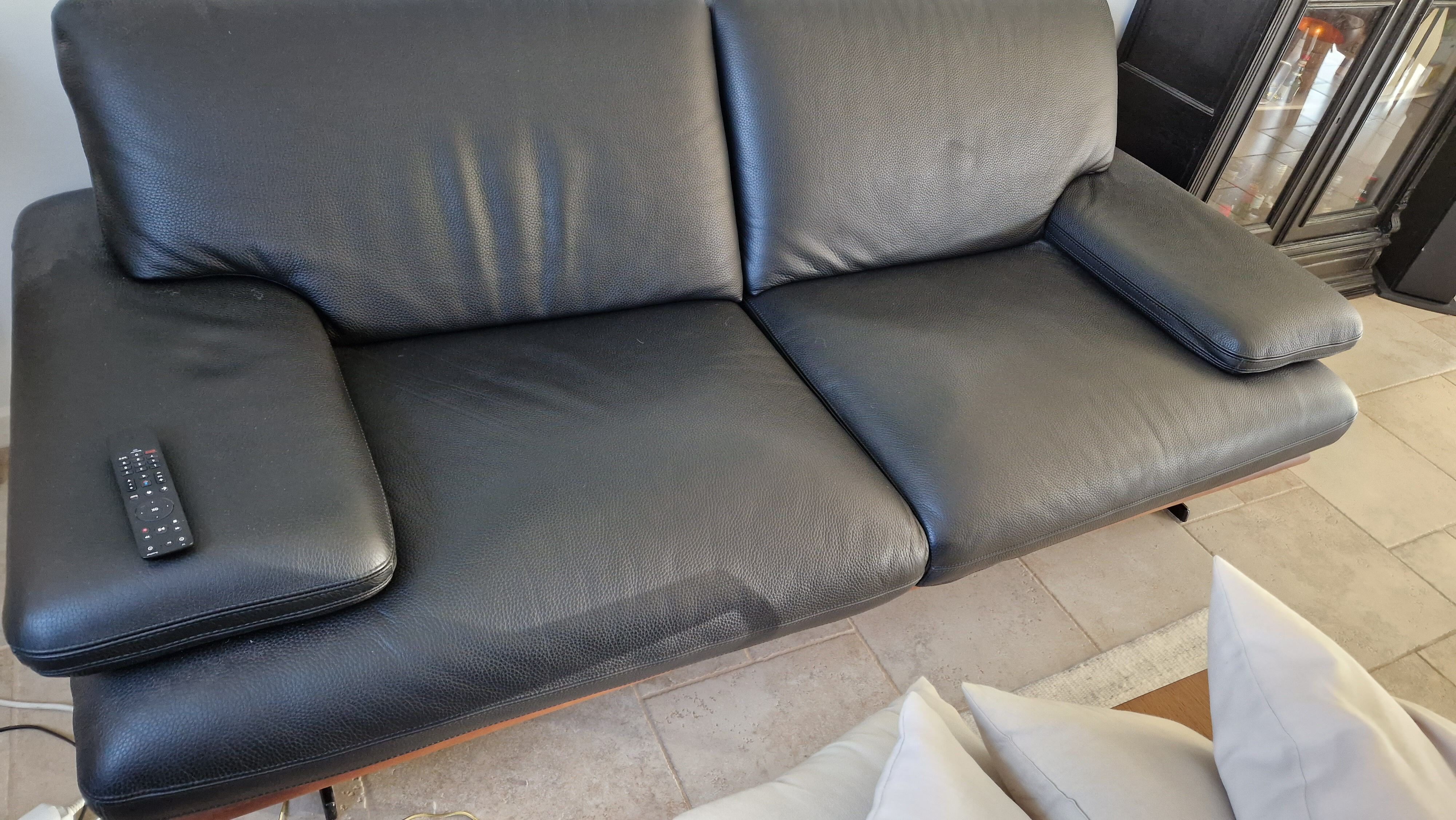 Roche Bobois Wingspan Sofa