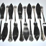 Set of 10 ercuis fish knives in silver metal, victoria spatours model