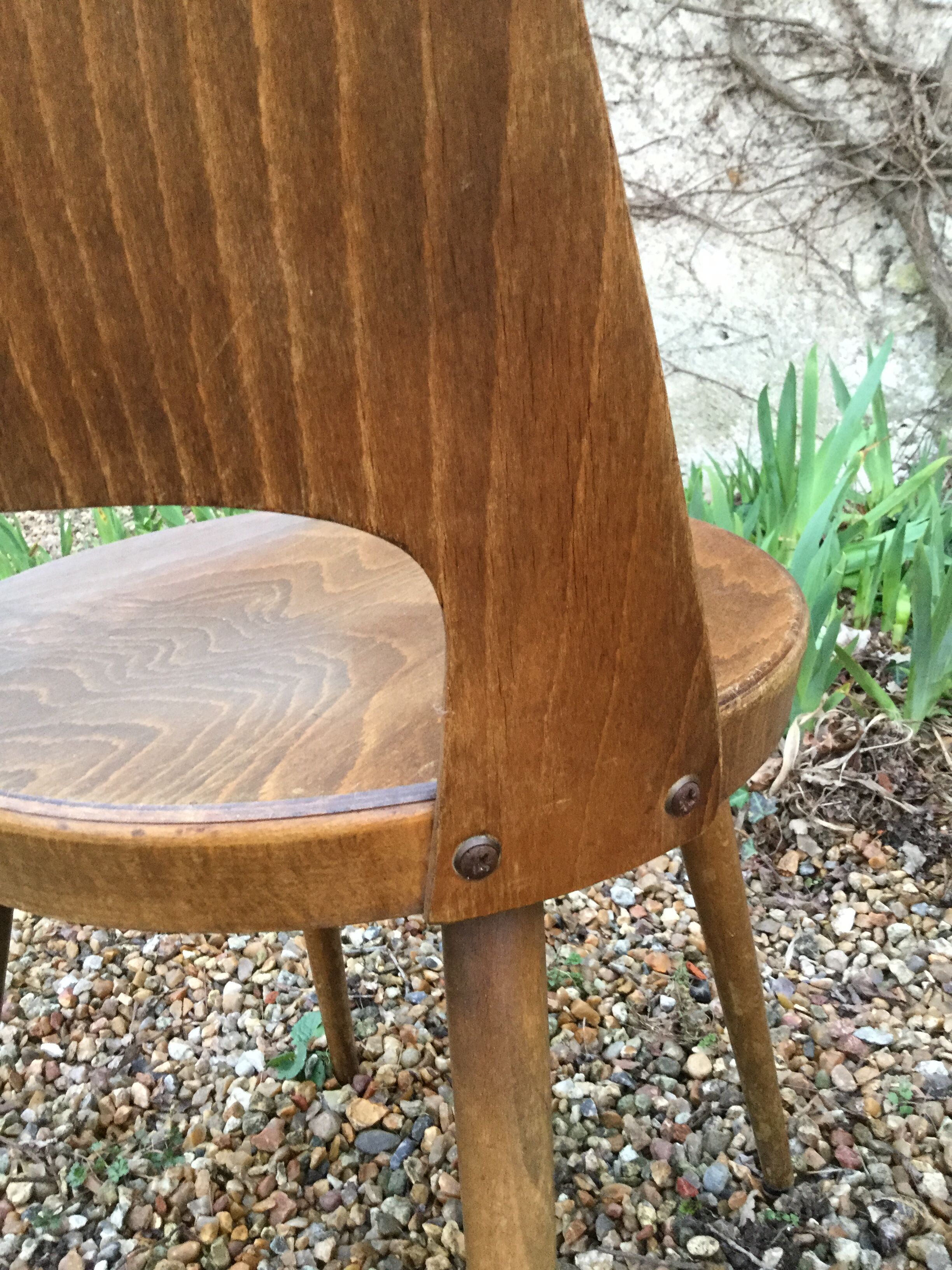 Pair of chairs Baumann Mondor