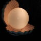 Lampe coquillage rose saumon