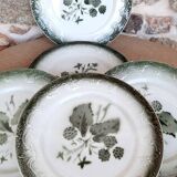 Pexonne dessert plate