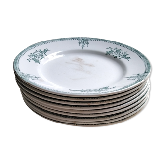 9 flat plates