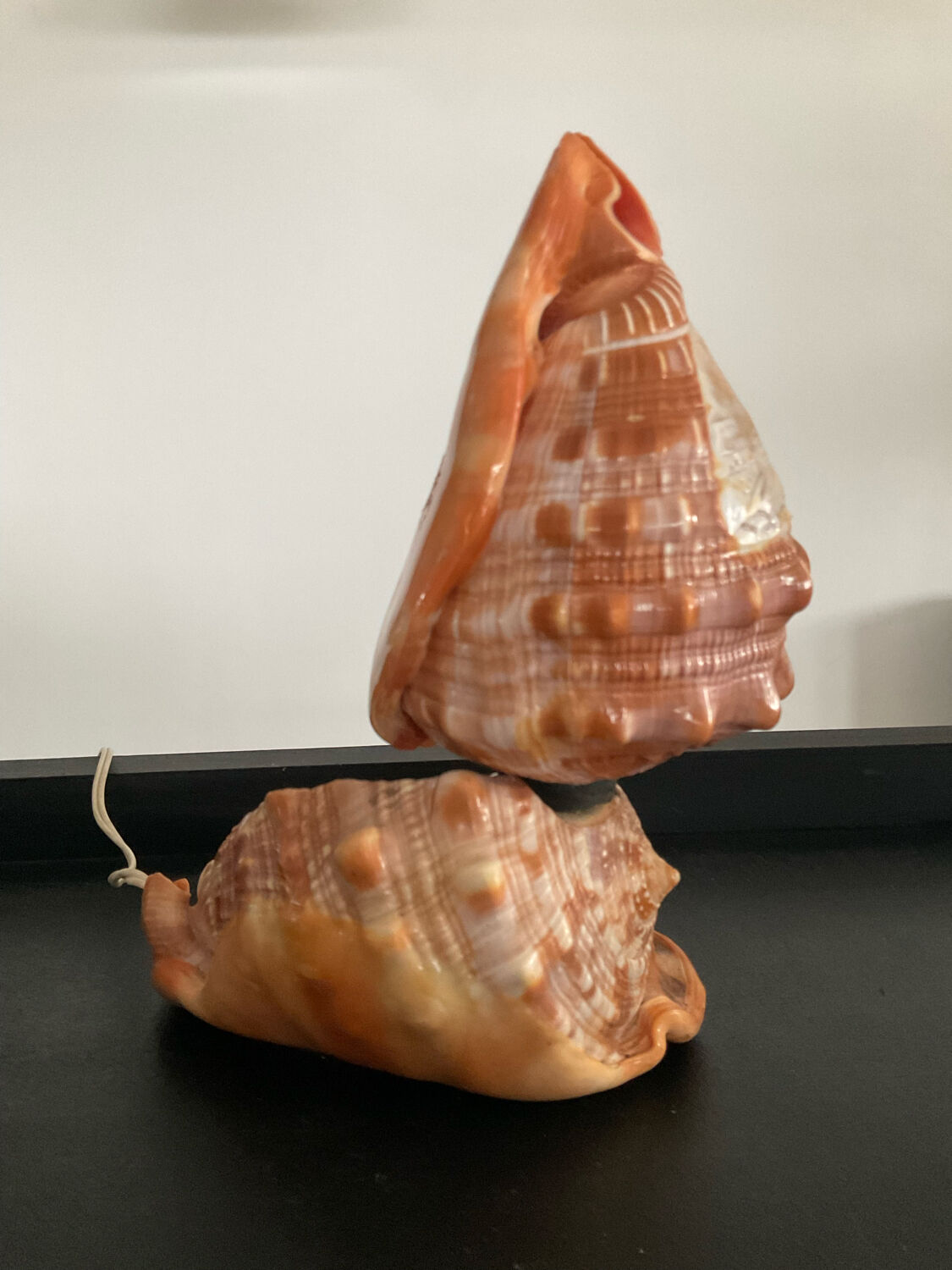Vintage shell lamp from the 50s-60s