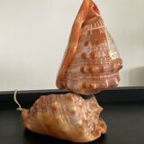 Vintage shell lamp from the 50s-60s