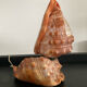 Vintage shell lamp from the 50s-60s