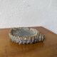 Shell-shaped ceramic glazed catchall