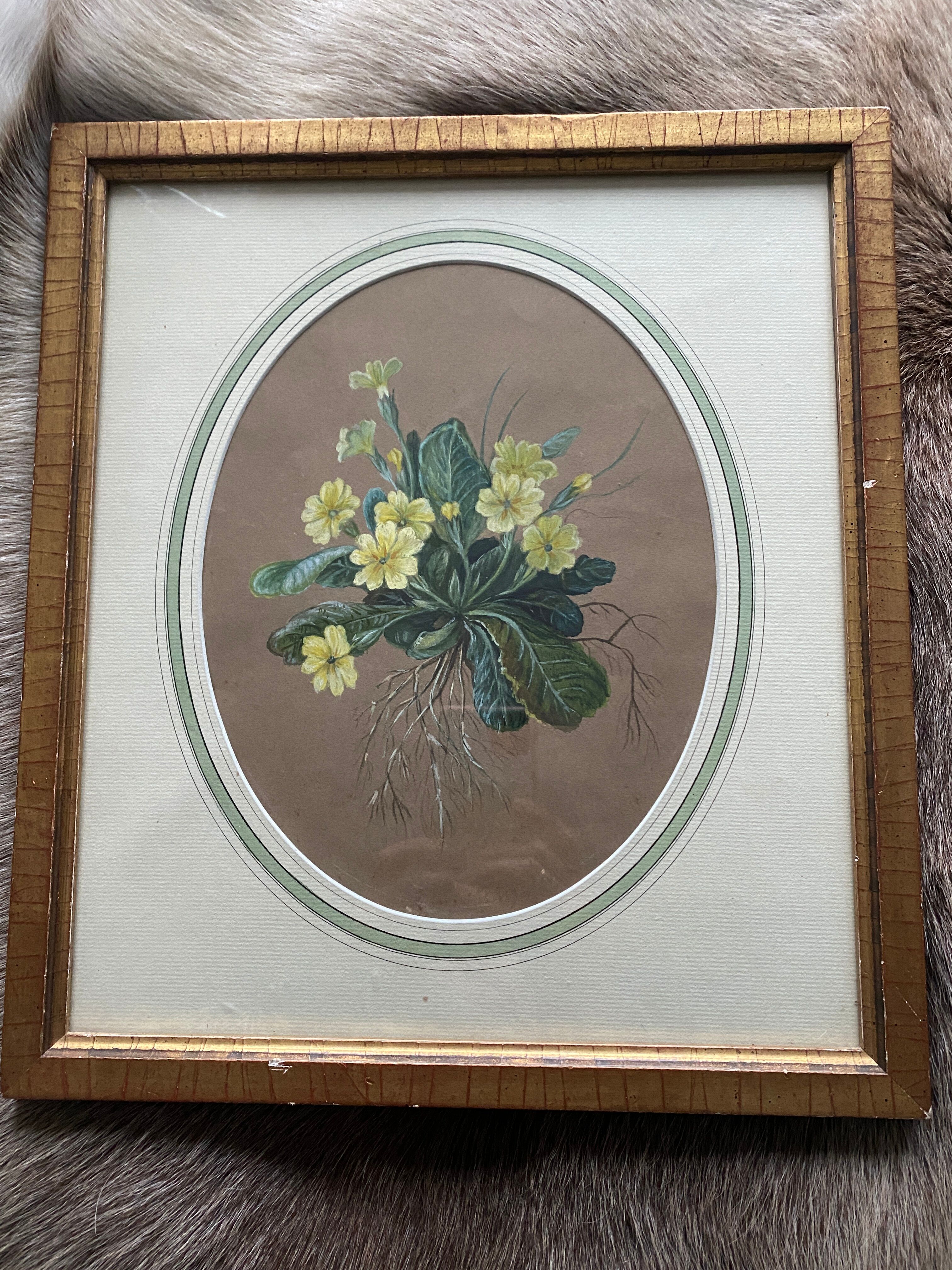 Watercolor "Primroses" XIX