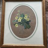 Watercolor "Primroses" XIX