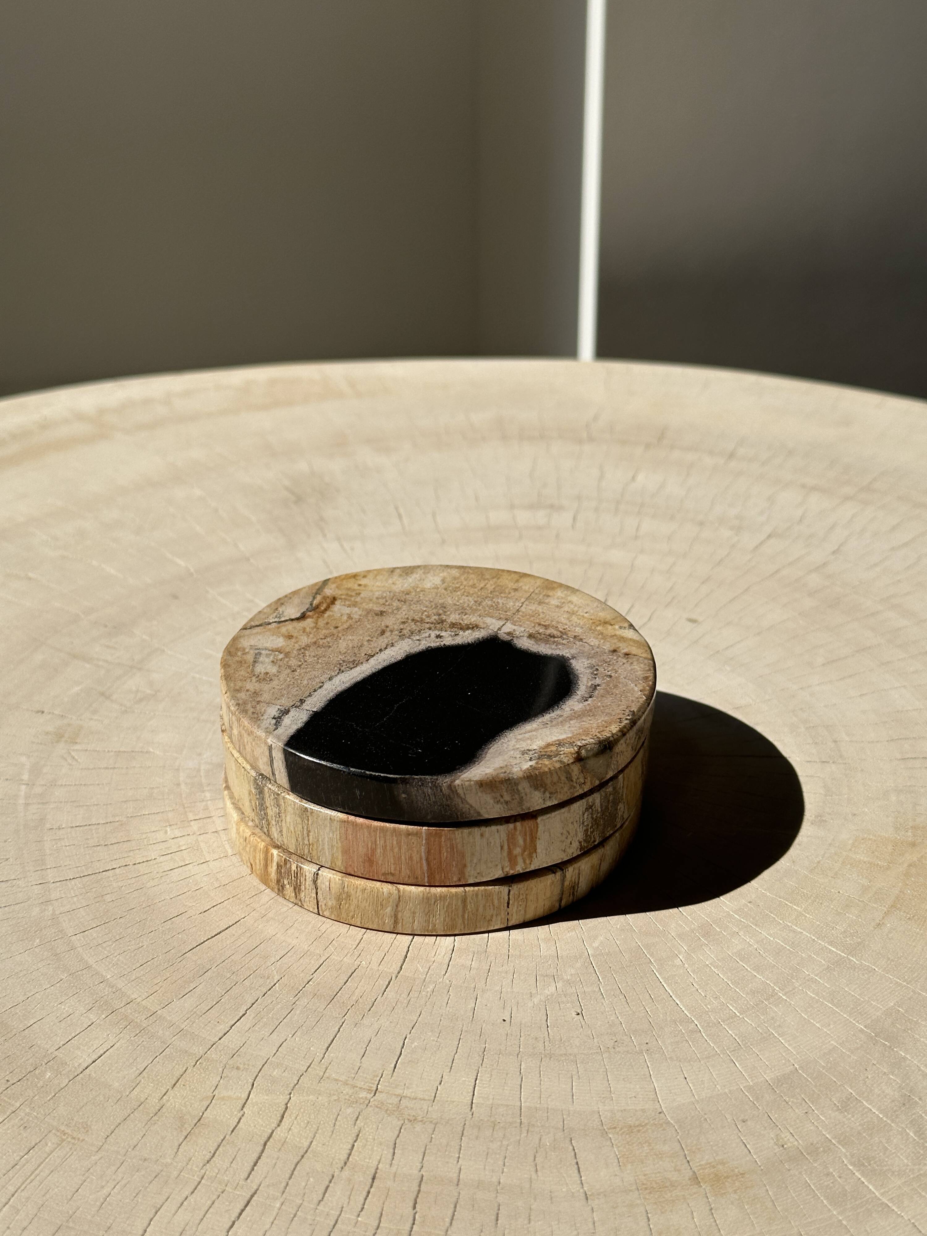 Set of 3 fossilized wood coasters (clear)
