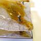 Murano Glass Wall Lights by Toni Zuccheri for Mazzega, 1970s, set of 2