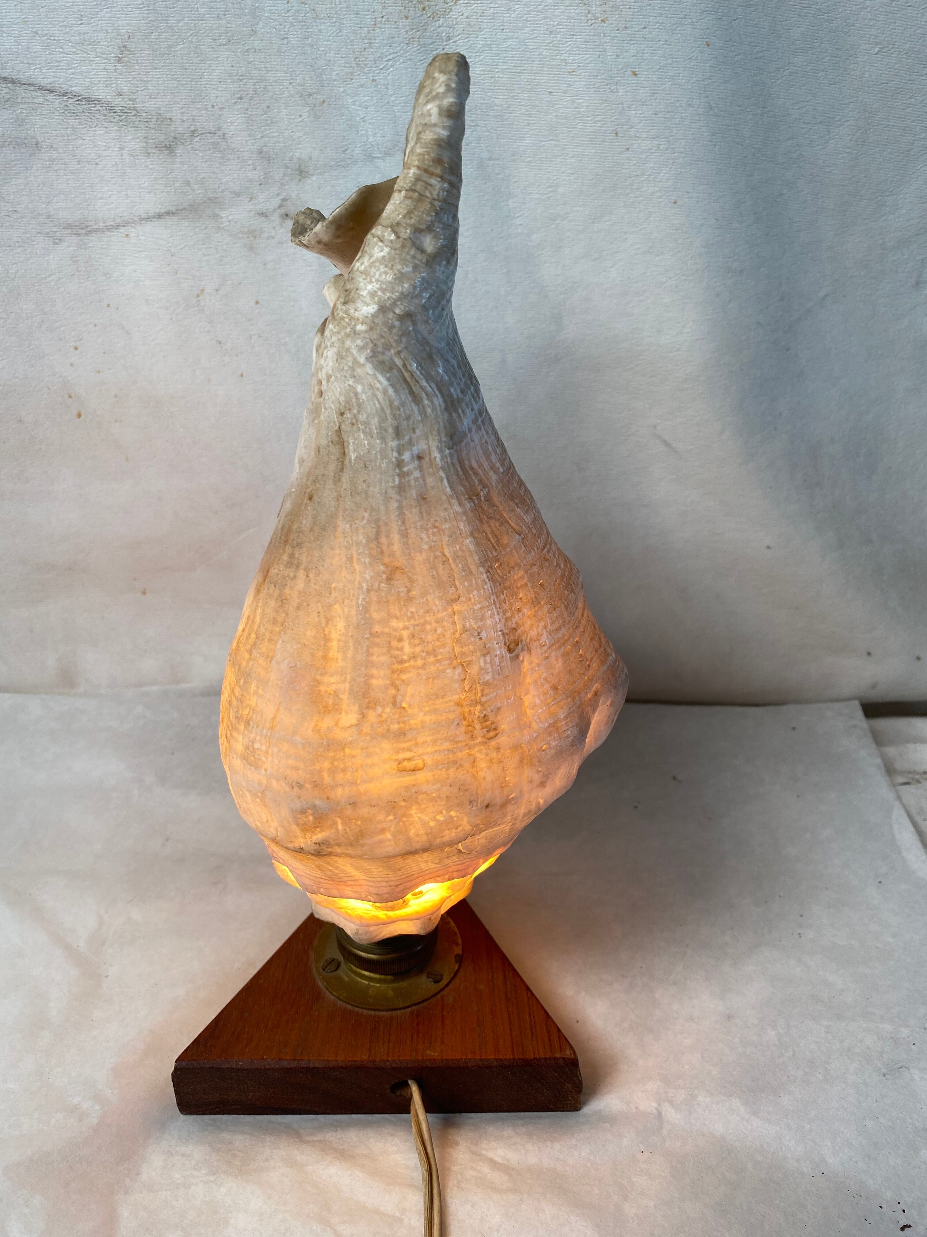 Vintage shell and teak lamp