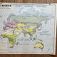 School map The world Vegetation