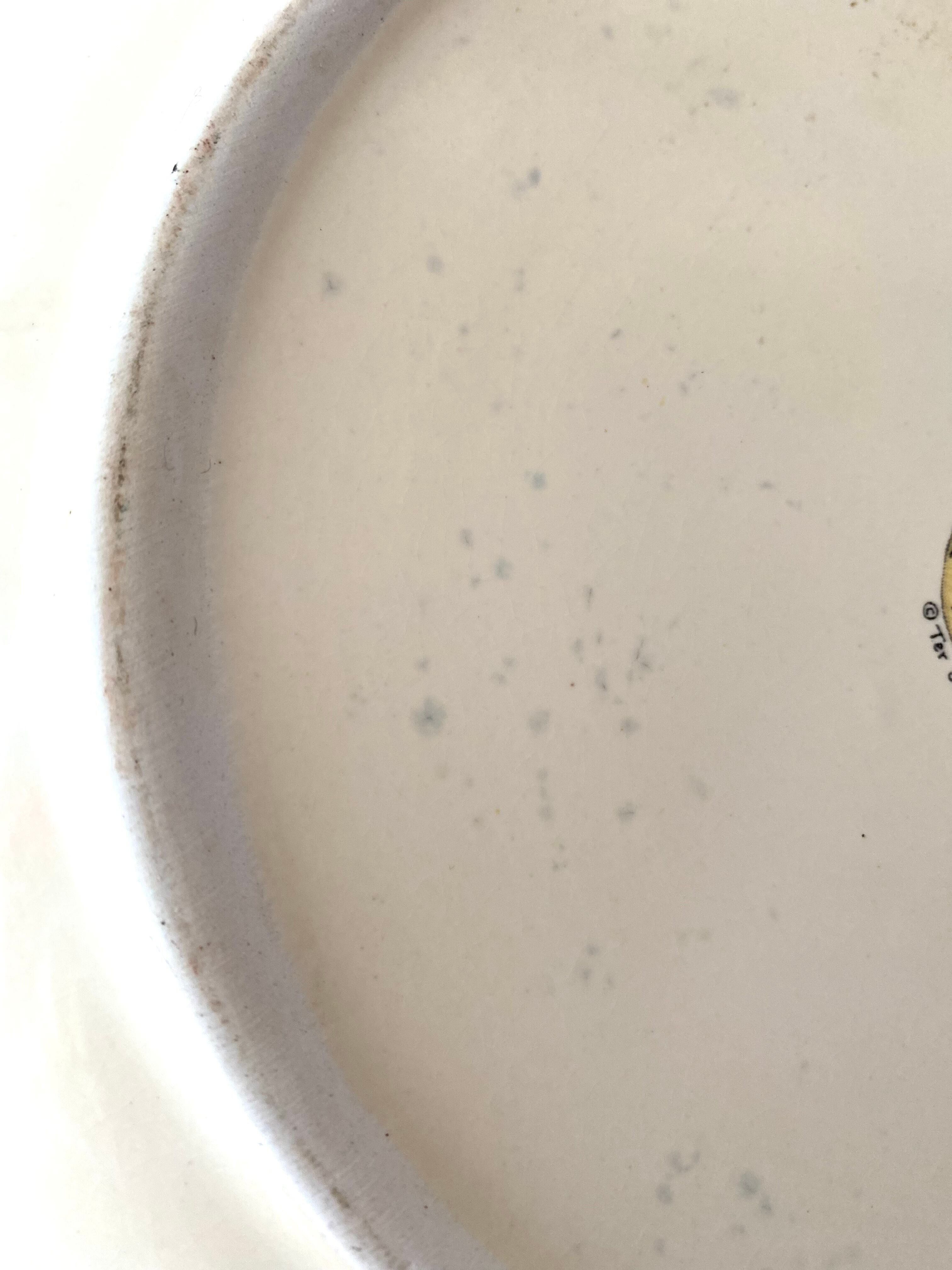 Ceramic salad bowl apples and pears Ter Steege Rÿssen vintage