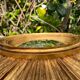 Mirror sun or wooden witch, gilded with gold leaf, diameter 41 cm