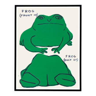 David Shrigley, Frog (front of), Frog (back of) Poster, 2021