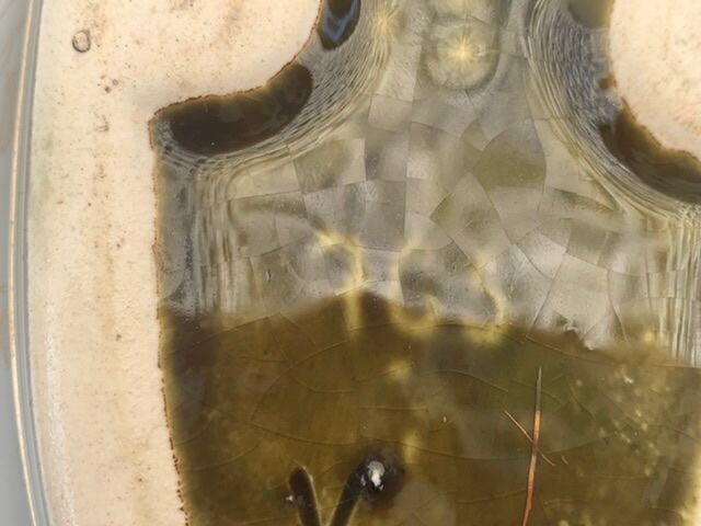 Pot dabbling ceramic Gustave de Bruyn earthenware fives Lille