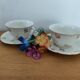 Antique porcelain lunches