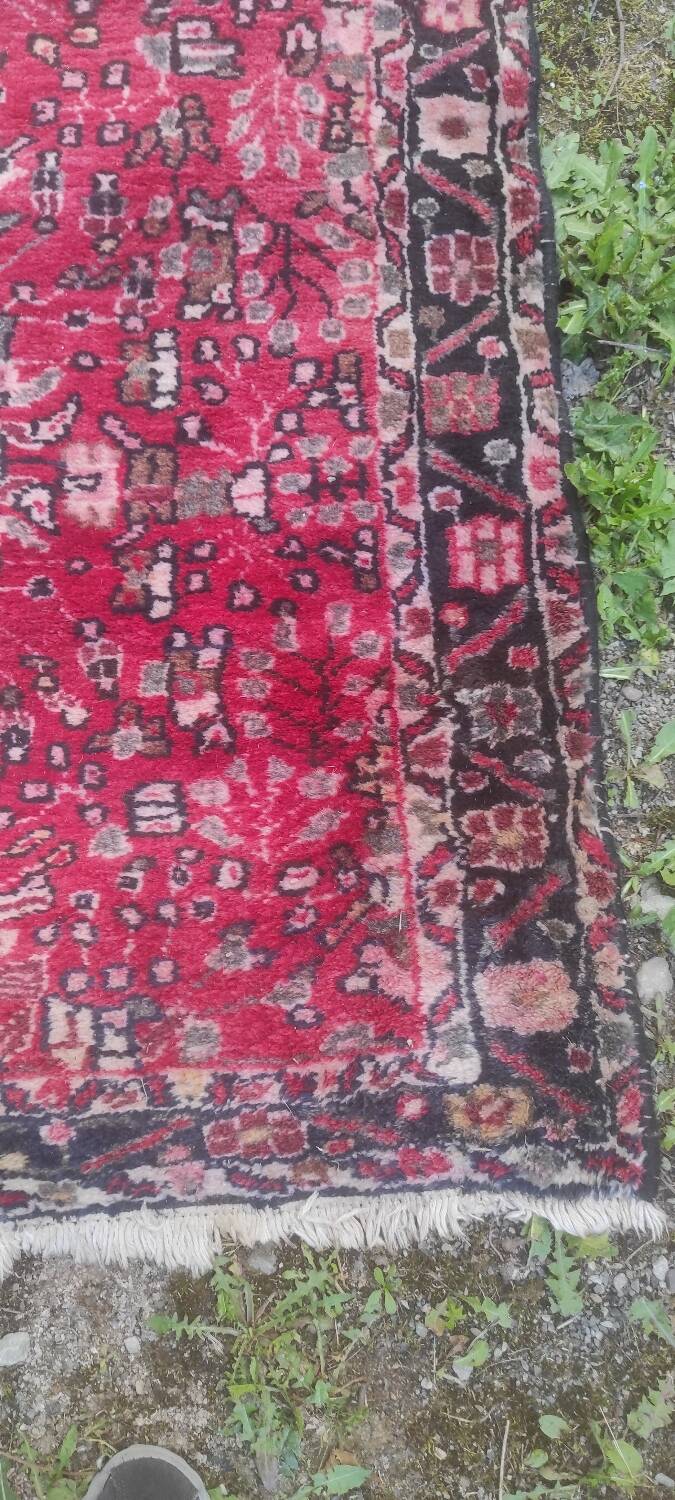 Wool carpet 4 m