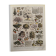 Vintage illustrated orchard print - 1930