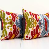 Paire de coussins Ikat