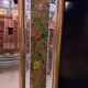 Beveled mirror decorated with flowers