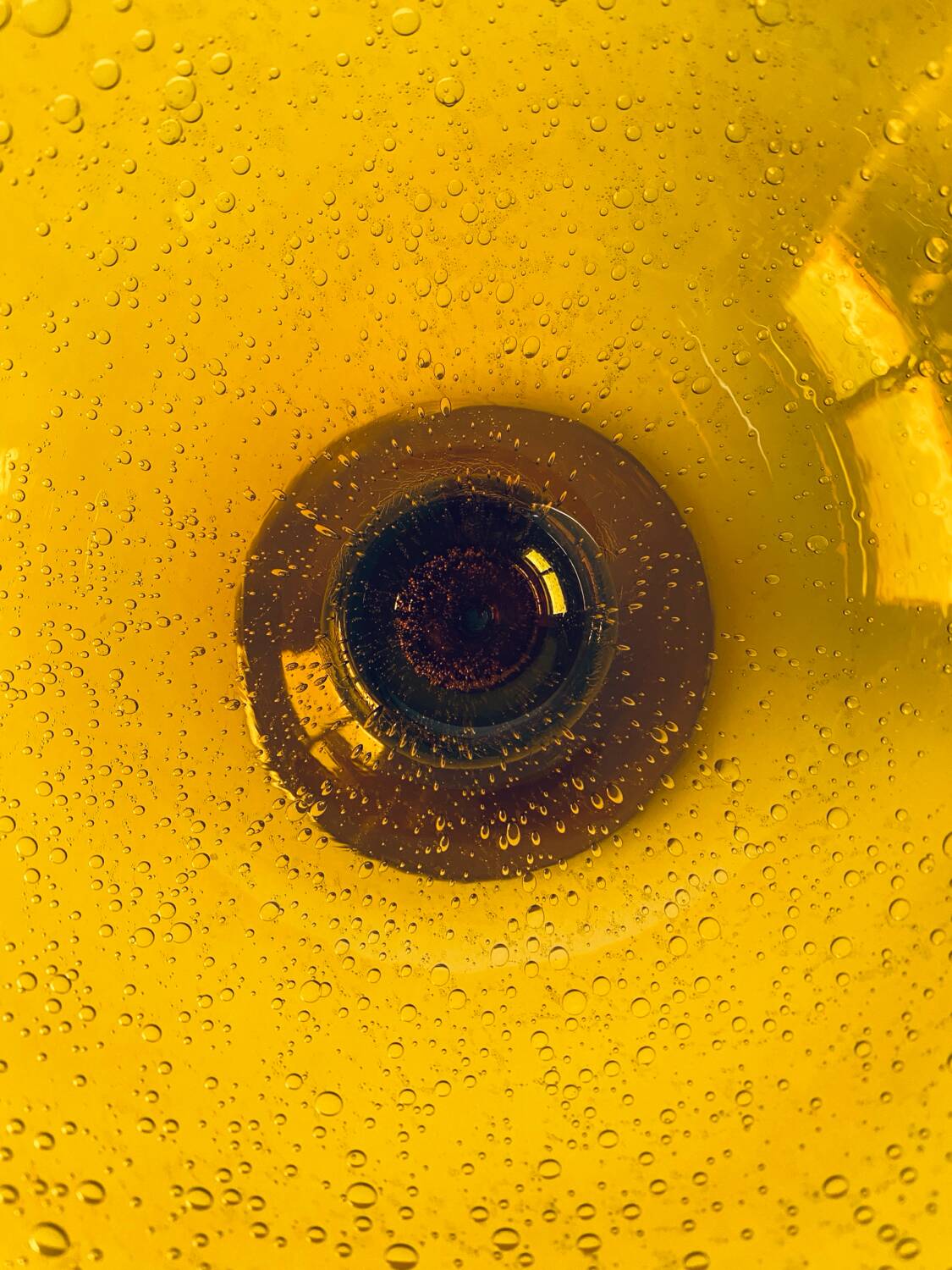 Large Biot salad bowl
