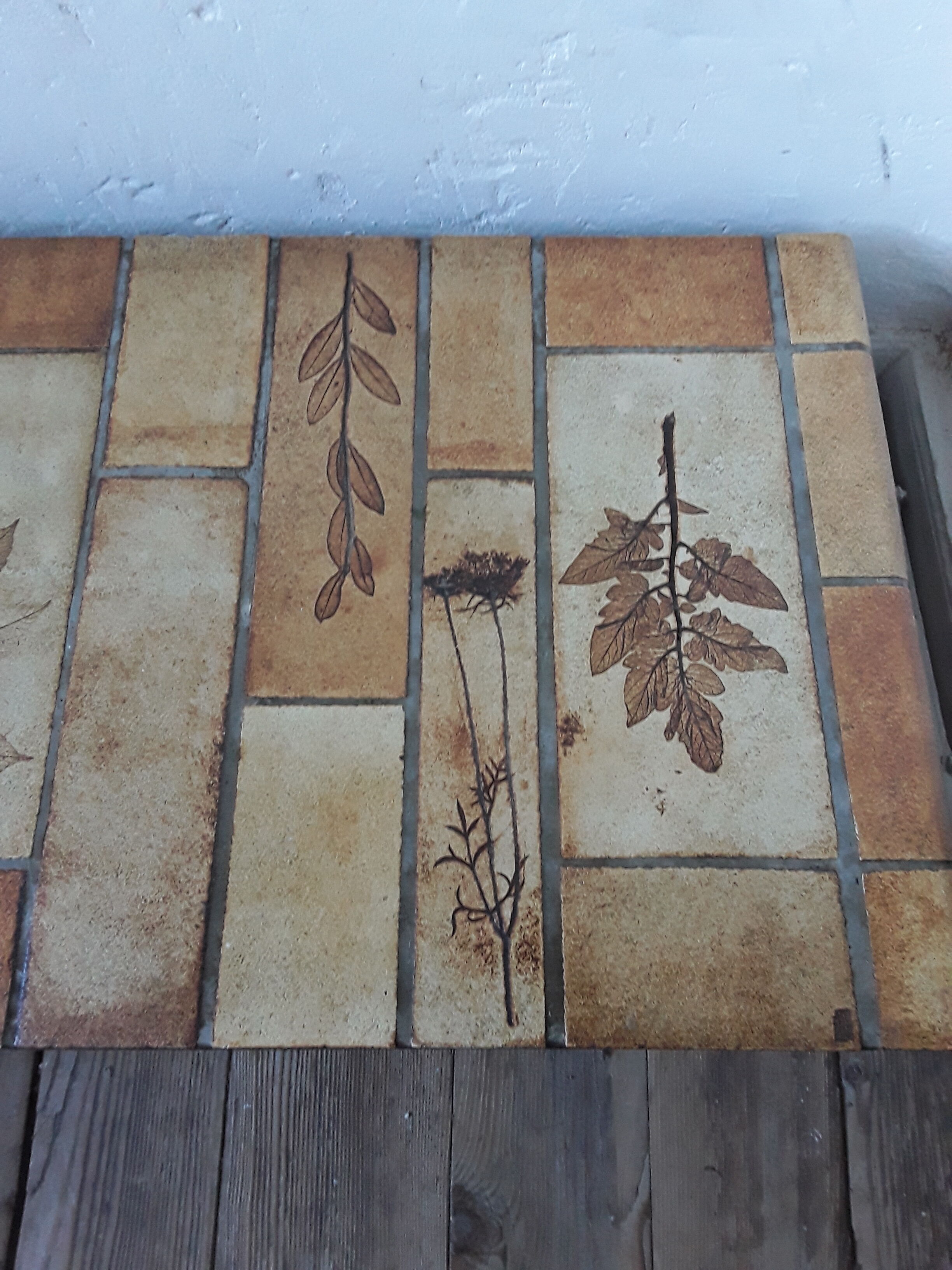 Coffee table Roger Capron model "herbarium"