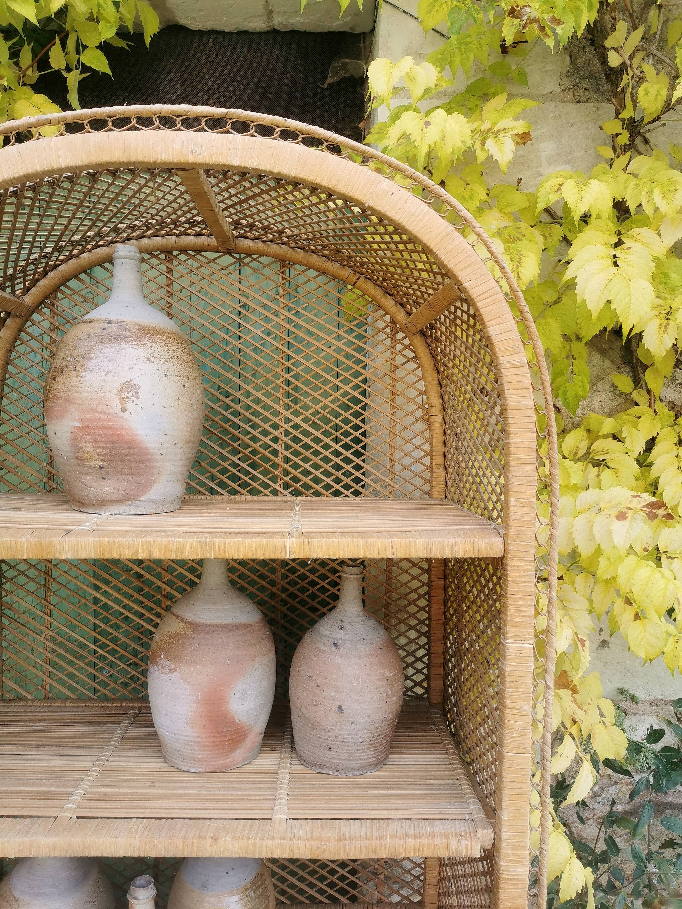 Emmanuelle style bookcase