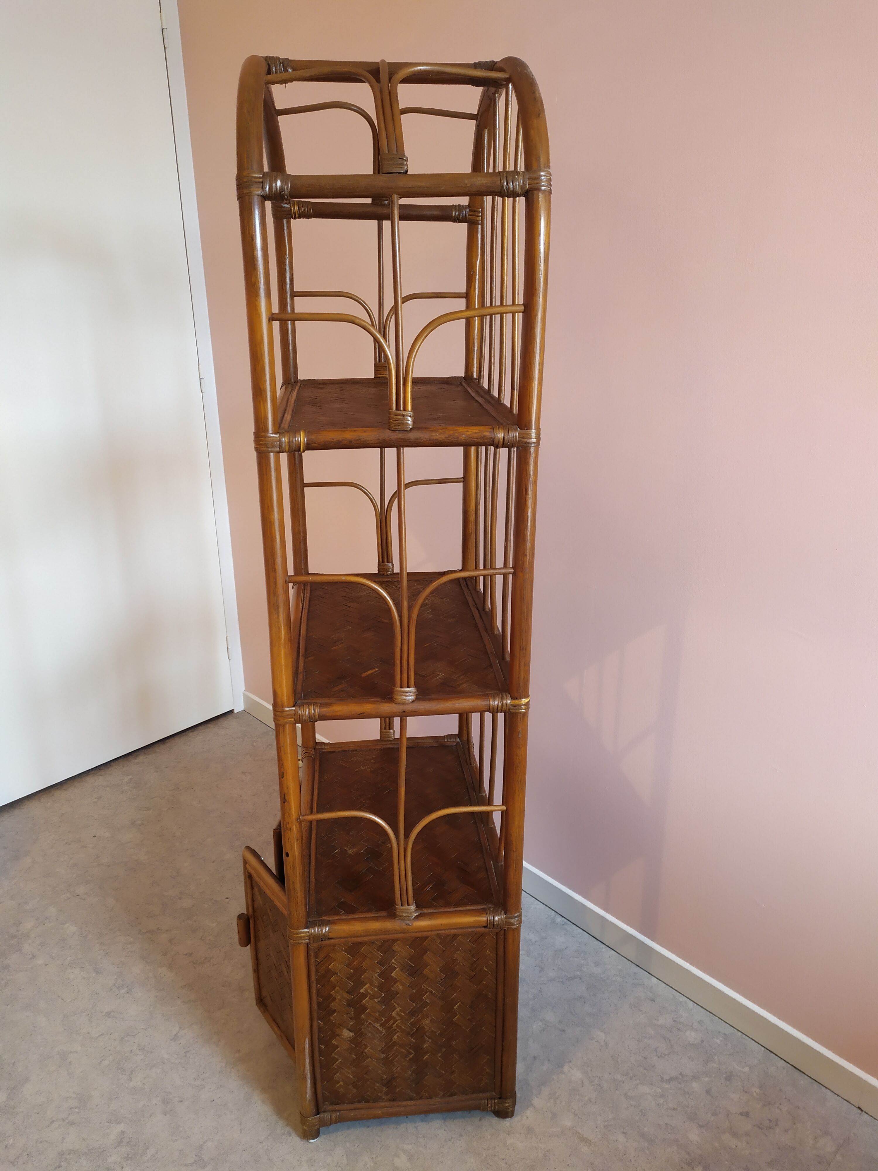 Rattan and bamboo library