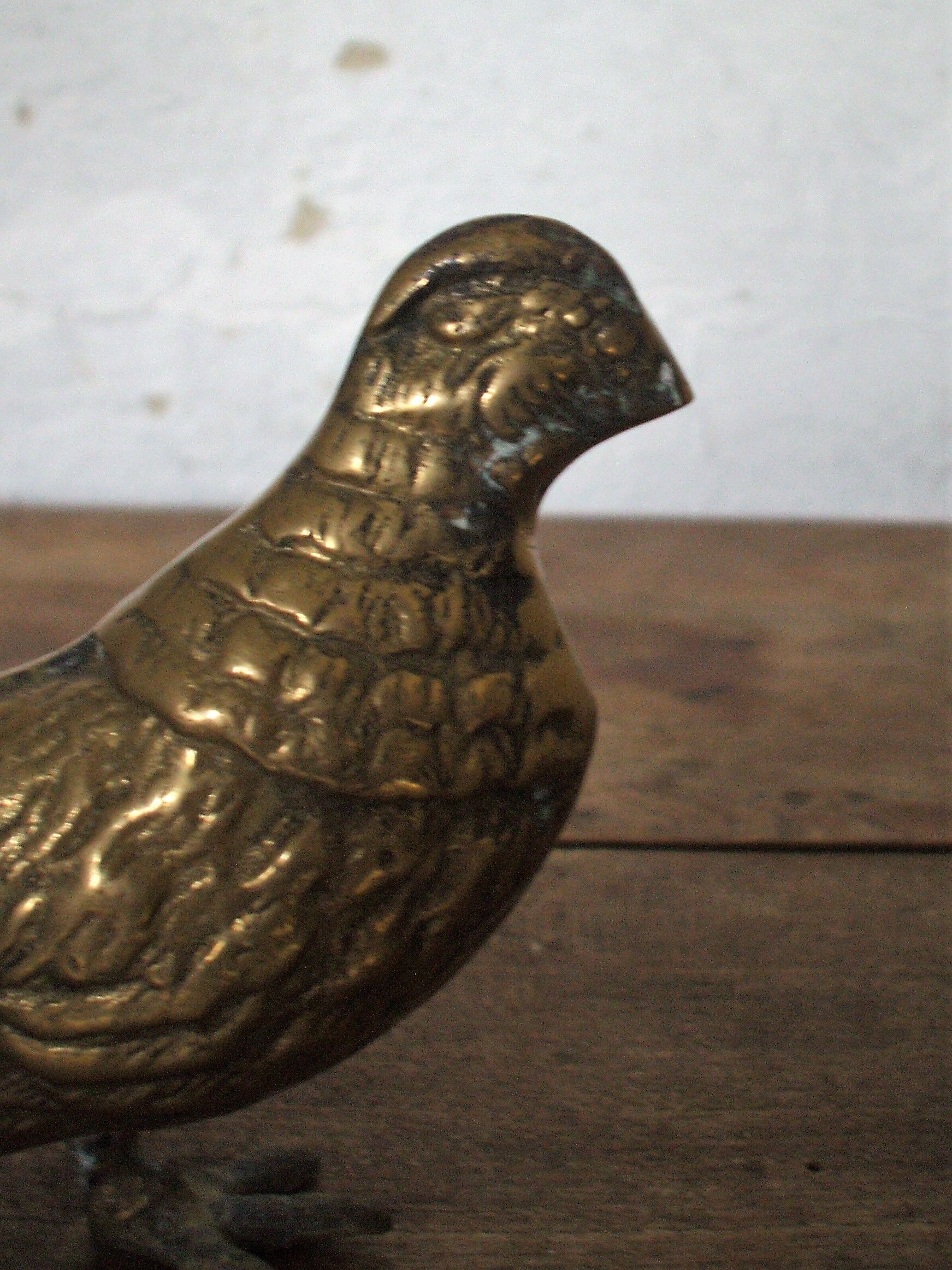Brass pheasant couple
