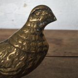 Brass pheasant couple