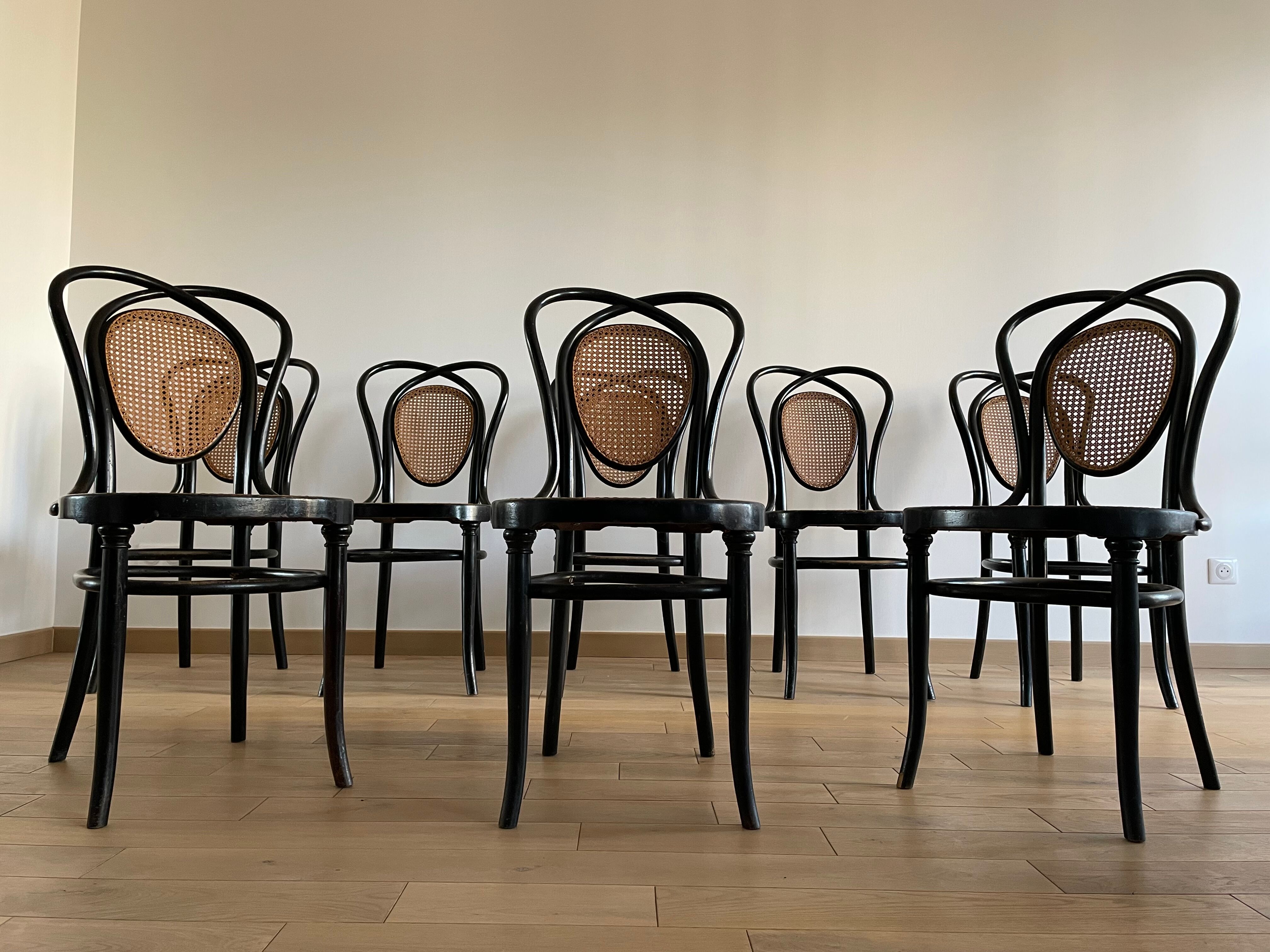 Series of 8 Viennese chairs N.33 by J&J Kohn, 1900