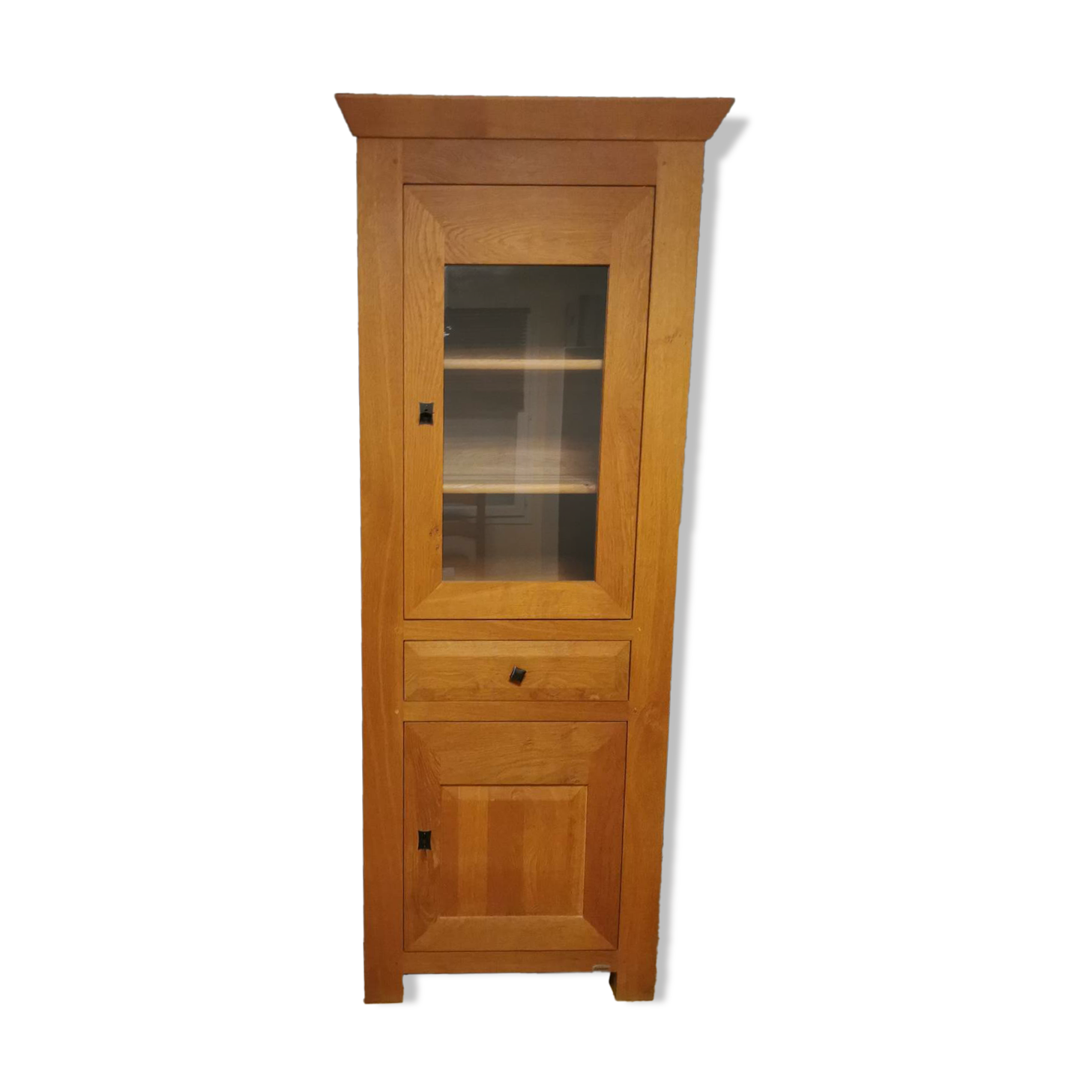 Glass library in solid oak