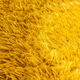 1970s menuette carpet, 250 x 355