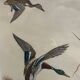 Antique print by Léon Danchin – Mallard ducks – Period framing