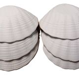 Set of 6 porcelain biscuit scallops