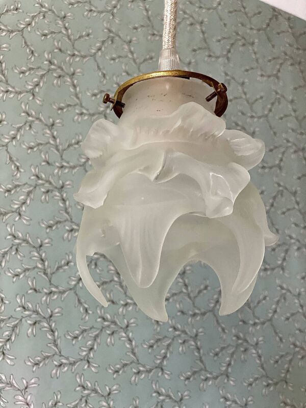 Deux suspensions vintage Globe fleur en verre dépoli