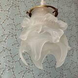 Deux suspensions vintage Globe fleur en verre dépoli