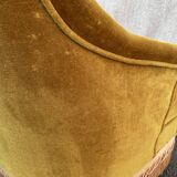 Padded golden yellow velvet toad