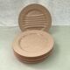 Lot de six assiettes asperges couleur rose pâle en porcelaine dimension : D-25cm-