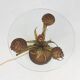 French Hollywood Regency style coffee table with lightning in brass flowers, 1950
