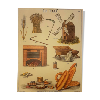 Educational poster "the bread" school museum of Emile Deyrolle