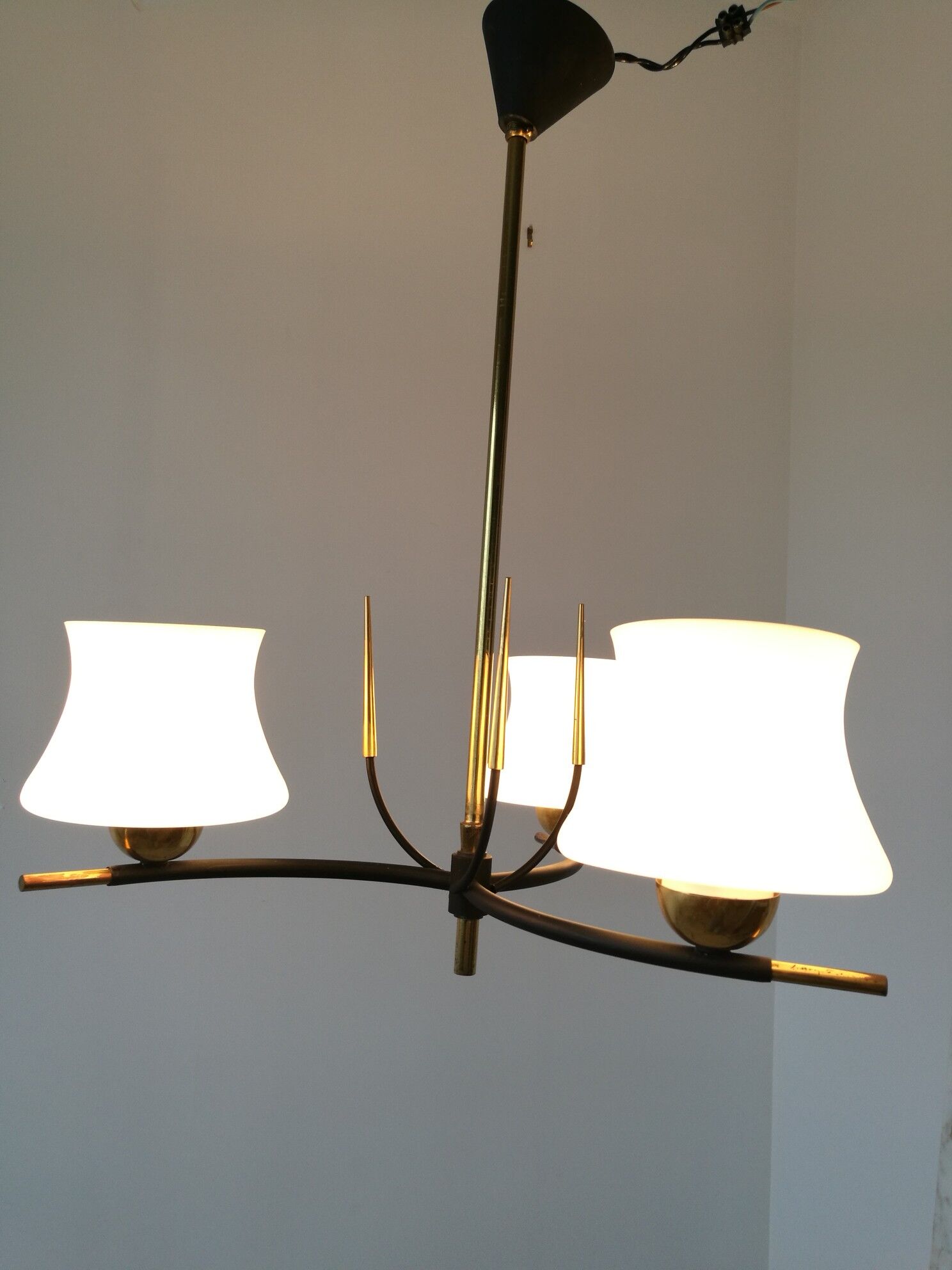 Lustre of the House Arlus 1960